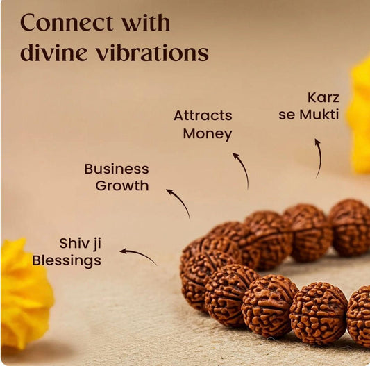 7 Mukhi Rudraksha Bracelet – Wealth, Prosperity & Positive Energy